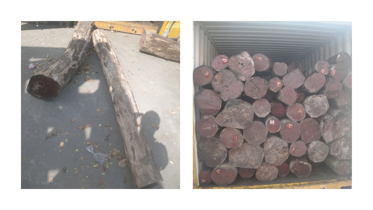 KPU-BC Tipe A Tanjung Priok Lot A06 :Floor Vitrine & Including Display Start Kit,Tabung Seng & Kayu Log Berbagai Ukuran di Jakarta