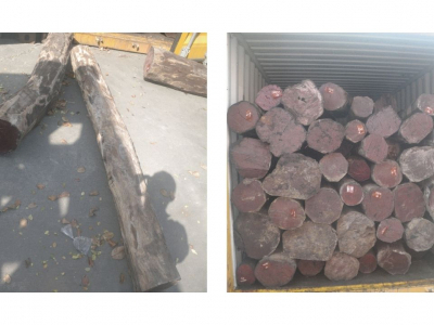 KPU-BC Tipe A Tanjung Priok Lot A06 :Floor Vitrine & Including Display Start Kit,Tabung Seng & Kayu Log Berbagai Ukuran di Jakarta